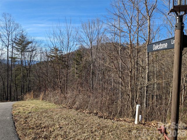 27 Bent Branch Lane 10, Asheville, NC 28804