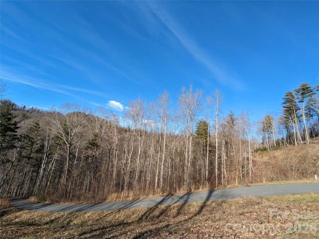 27 Bent Branch Lane 10, Asheville, NC 28804