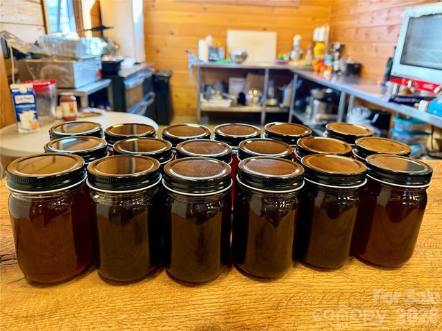 27 Bent Branch Lane 10, Asheville, NC 28804