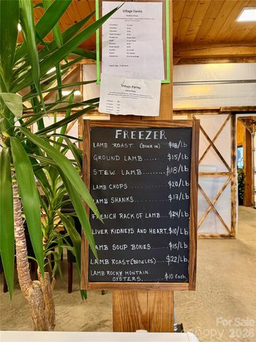 27 Bent Branch Lane 10, Asheville, NC 28804