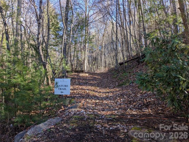 27 Bent Branch Lane 10, Asheville, NC 28804