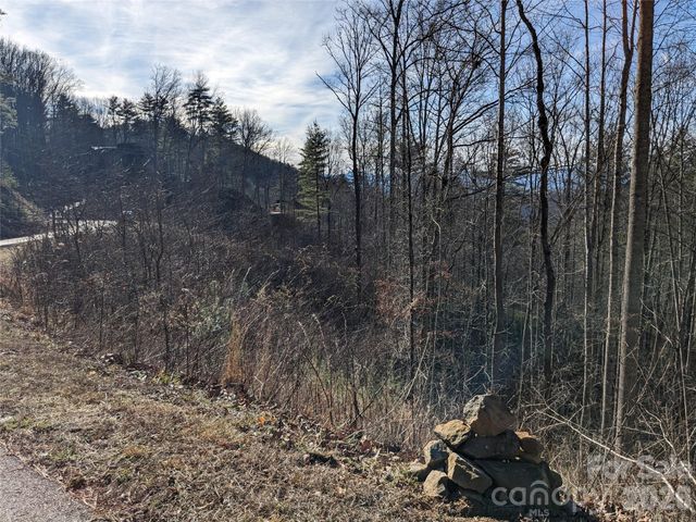 27 Bent Branch Lane 10, Asheville, NC 28804