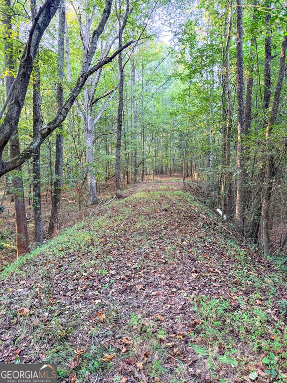 1291 Dials Mill SPUR, Statham, GA 30666 — photo 2