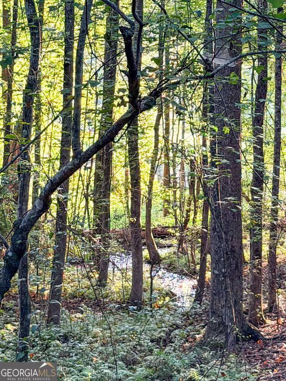 1291 Dials Mill SPUR, Statham, GA 30666 — photo 3