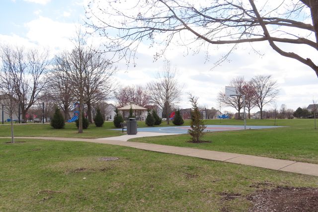 11401 S Preakness Drive, Plainfield, IL 60585