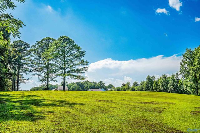25956 Hunter Gates Road, Lester, AL 35647
