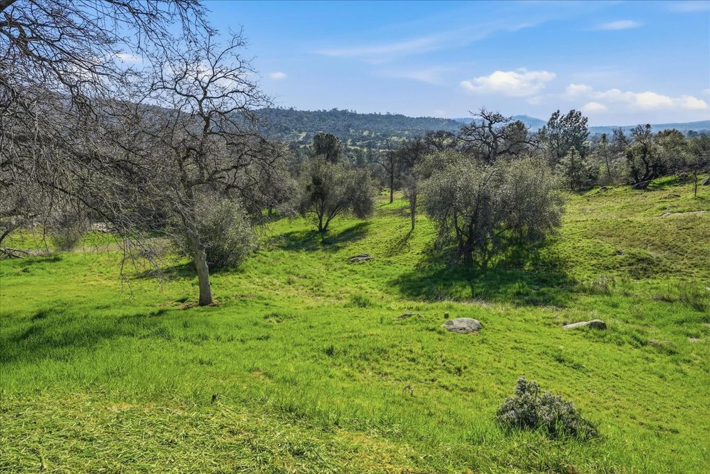 Image 45 of property listing at 30917 N Dome Dr, Coarsegold, CA 93614