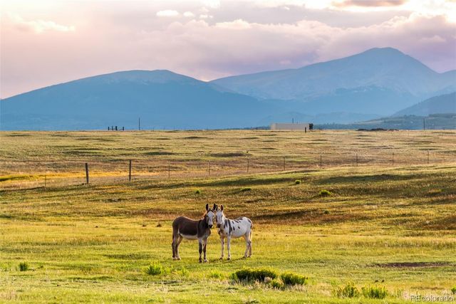 399 Beaus Drive, Jefferson, CO 80456