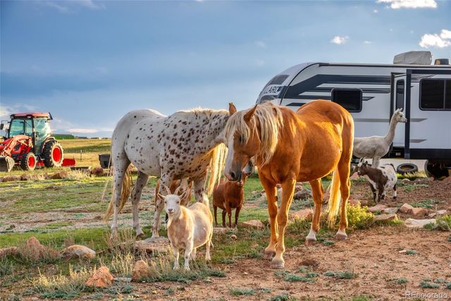 399 Beaus Drive, Jefferson, CO 80456