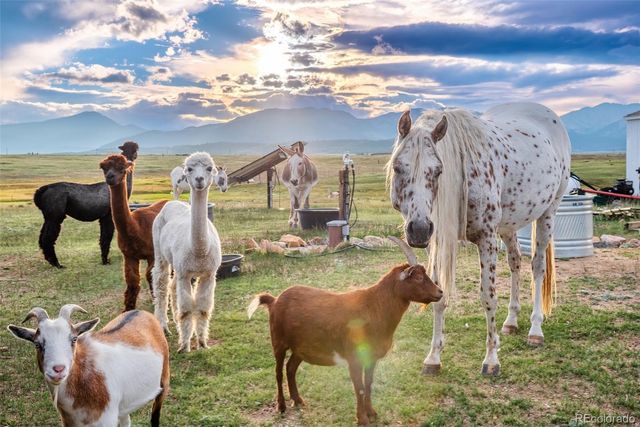 399 Beaus Drive, Jefferson, CO 80456