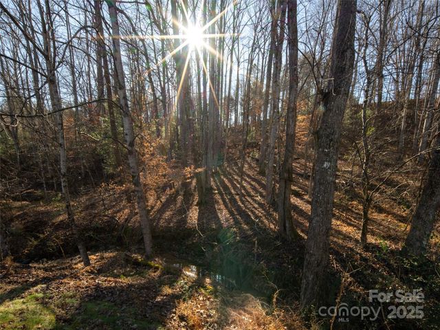 123 Orvis Stone Circle, Biltmore Lake, NC 28715