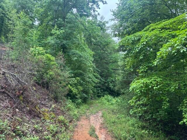 80 Hell Hole Road, Pikeville, TN 37367