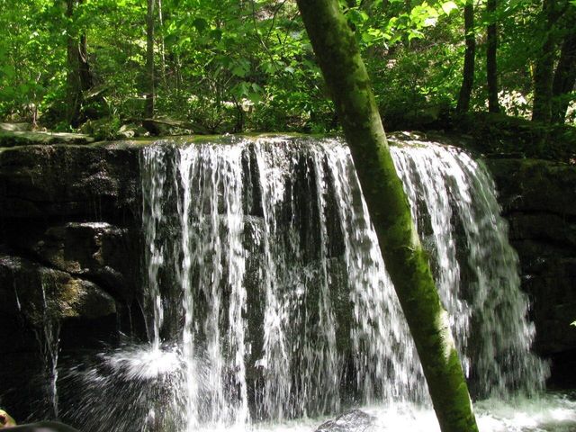 80 Hell Hole Road, Pikeville, TN 37367