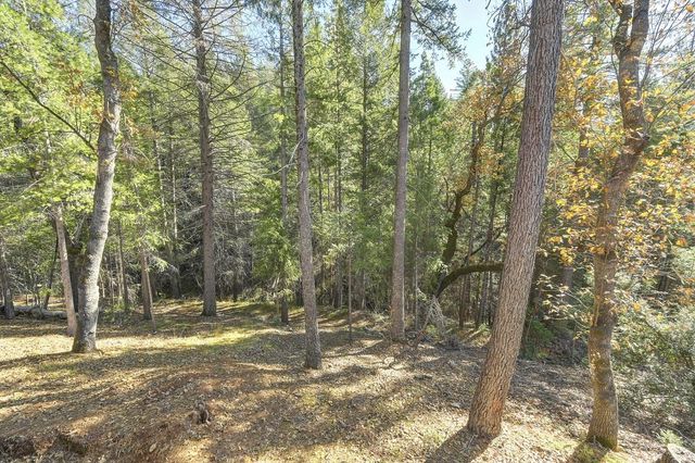 5060 Chestnut Ct, Georgetown, CA 95634