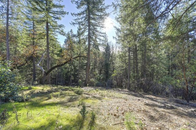 5060 Chestnut Ct, Georgetown, CA 95634