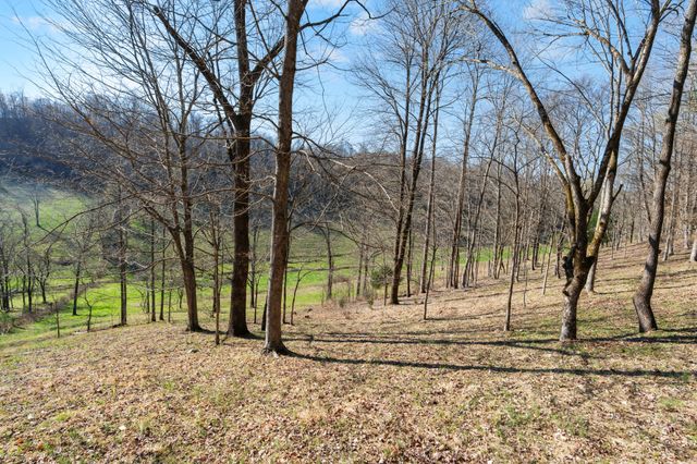546 Womack Hollow Rd, Liberty, TN 37095