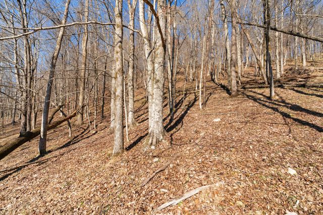 546 Womack Hollow Rd, Liberty, TN 37095