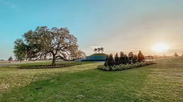 31101 MANGO FADE WAY, San Antonio, FL 33576