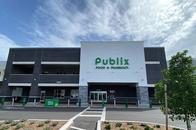 31101 MANGO FADE WAY, San Antonio, FL 33576