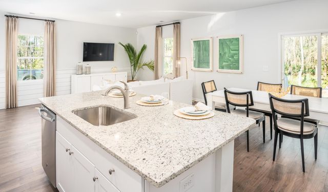 415 Camellia Bloom Drive, Moncks Corner, SC 29461