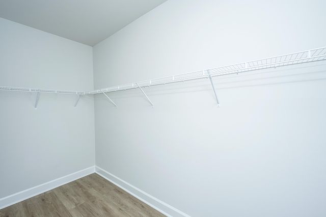 117 Royal Cainhoy Way, Huger, SC 29450