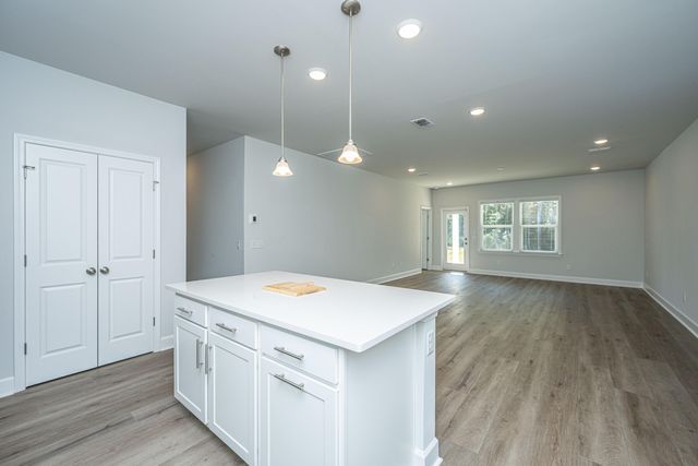 117 Royal Cainhoy Way, Huger, SC 29450