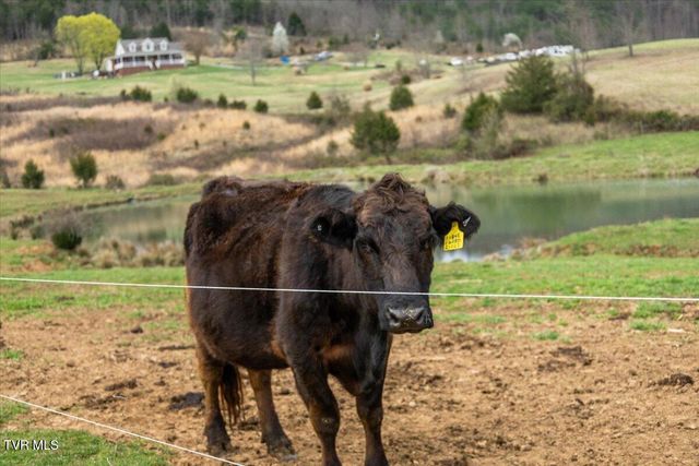 3218 Stanley Valley Road, Surgoinsville, TN 37873