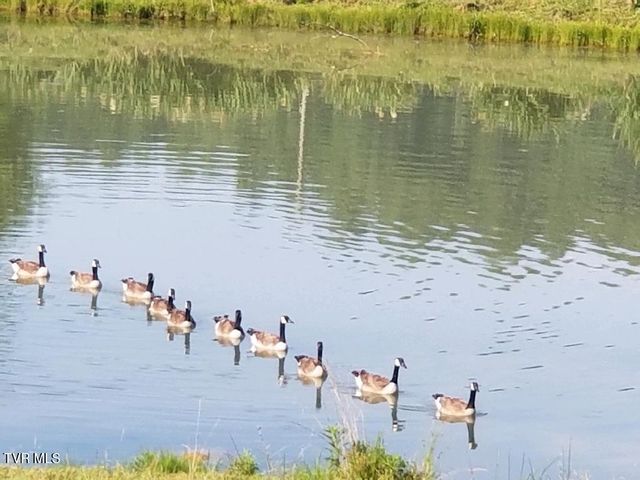 3218 Stanley Valley Road, Surgoinsville, TN 37873