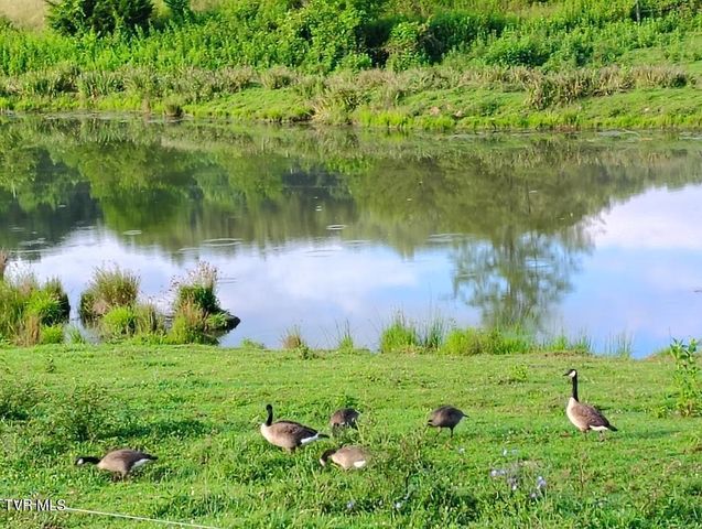 3218 Stanley Valley Road, Surgoinsville, TN 37873