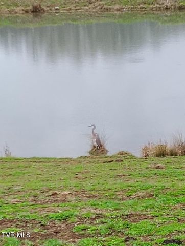 3218 Stanley Valley Road, Surgoinsville, TN 37873