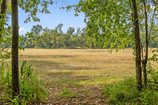 6 Sturgeon Creek Road, Cedar Hill, TN 37032