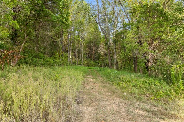 6 Sturgeon Creek Road, Cedar Hill, TN 37032