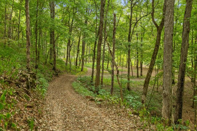6 Sturgeon Creek Road, Cedar Hill, TN 37032