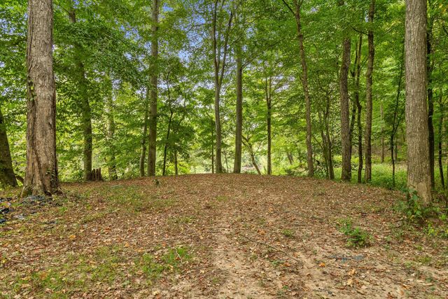 6 Sturgeon Creek Road, Cedar Hill, TN 37032