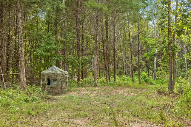 6 Sturgeon Creek Road, Cedar Hill, TN 37032