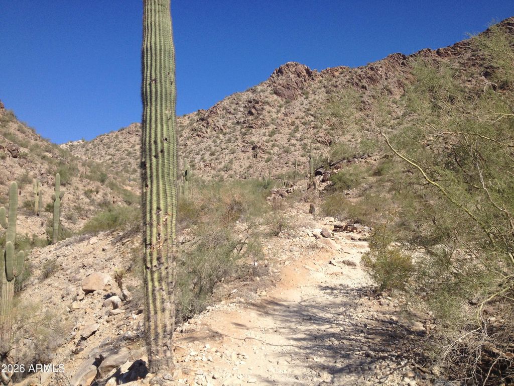 Image 31 of property listing at 16442 S 16TH Lane, Phoenix, AZ 85045