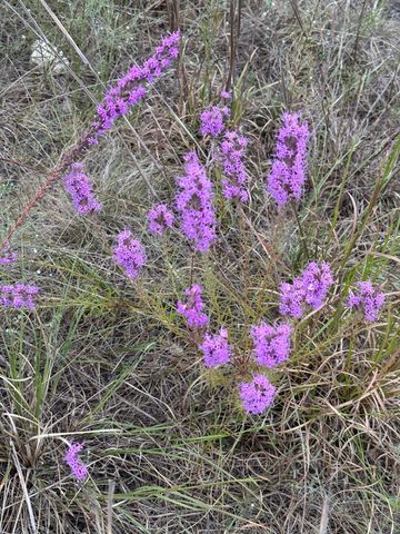 284 Cedar Mountain DR, Spicewood, TX 78654