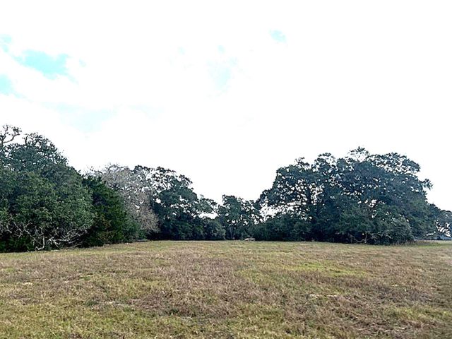 TBD 20 Acres Cat Spring Road, Cat Spring, TX 78933