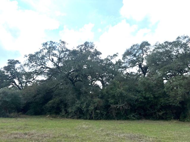 TBD 20 Acres Cat Spring Road, Cat Spring, TX 78933