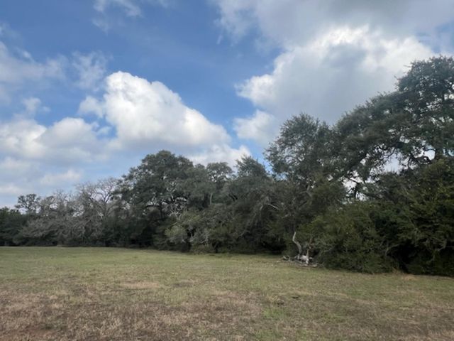 TBD 20 Acres Cat Spring Road, Cat Spring, TX 78933