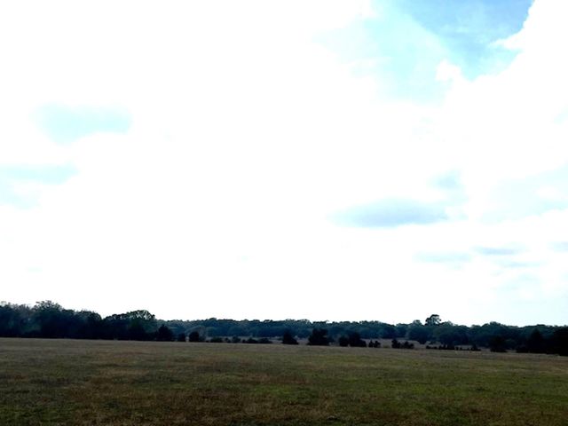 TBD 20 Acres Cat Spring Road, Cat Spring, TX 78933