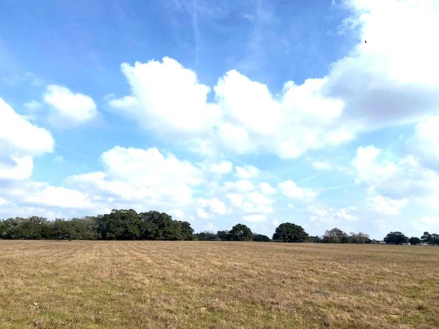 TBD 20 Acres Cat Spring Road, Cat Spring, TX 78933