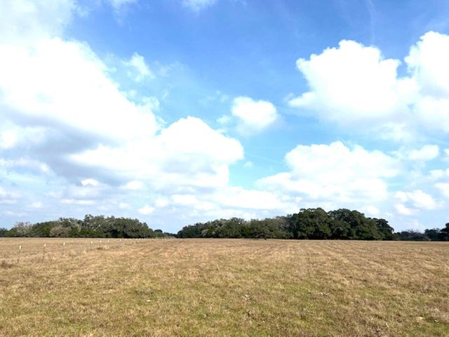 TBD 20 Acres Cat Spring Road, Cat Spring, TX 78933