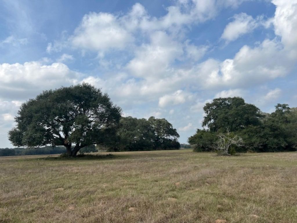 TBD 20 Acres Cat Spring Road, Cat Spring, TX 78933