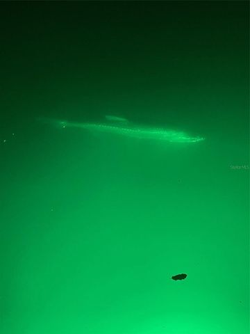 490 CREEK LANE DRIVE, Englewood, FL 34223