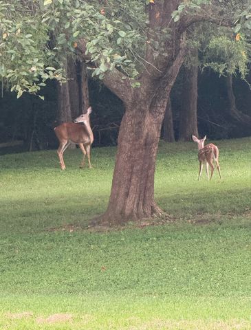 3465 John Taylor Rd, Woodlawn, TN 37191