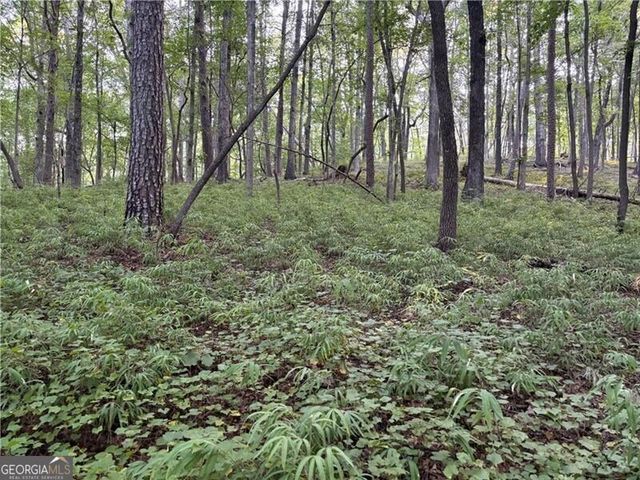LOT 16 Norton Trail, Dahlonega, GA 30533