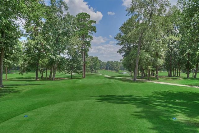 12935 Shady Grove Lane, Montgomery, TX 77356