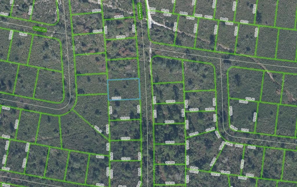 4055 GERONA AVENUE, Sebring, FL 33872