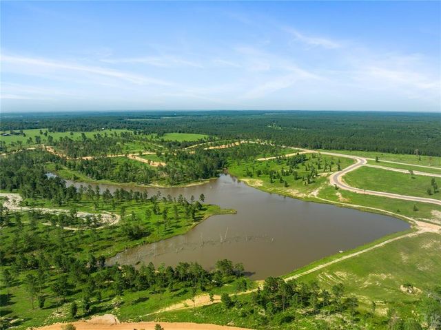 142 Dove Hill Circle, Livingston, TX 77351